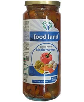 ترشی مدیترانه ای فودلند 480گرمی