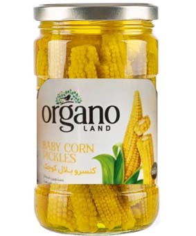 ترشی بلال ارگانولند 660گرمی